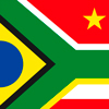 BRICS flag